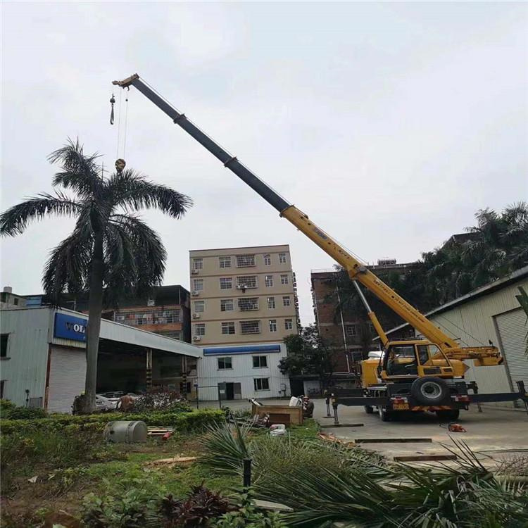 卫滨汽车吊出租多少钱？全面解析与市场行情